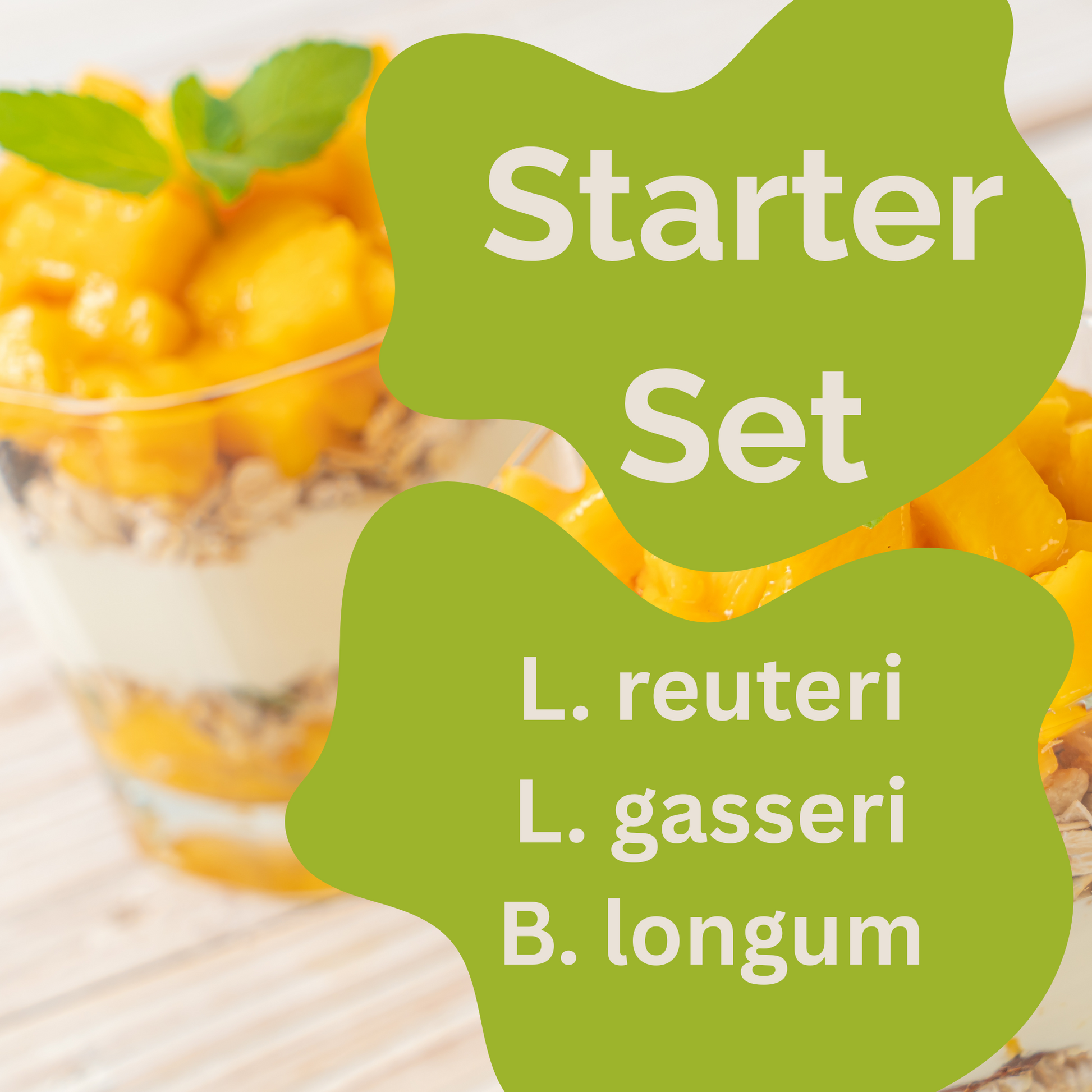 Kit de démarrage « Slim Gut » | L. reuteri, L. gasseri, B. longum-Yaourt