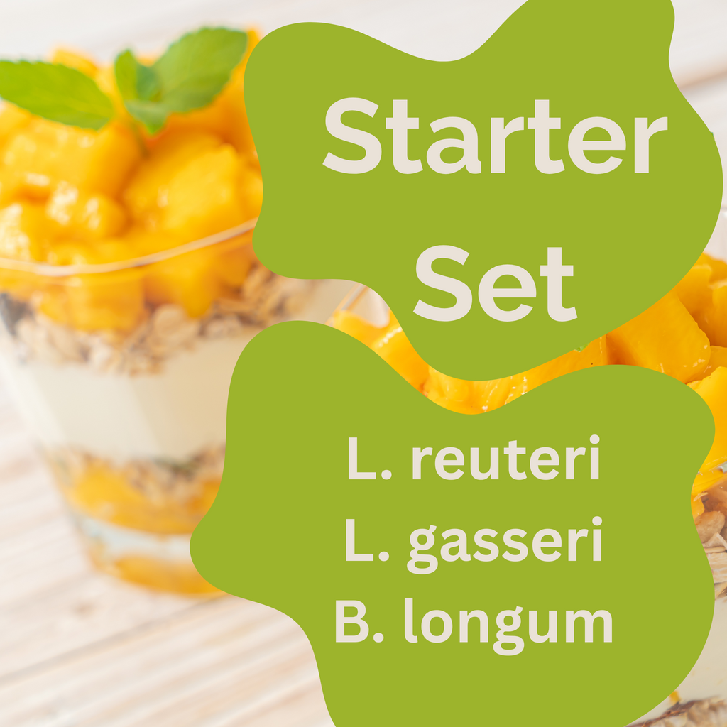 Başlangıç Seti „Slim Gut" | L. reuteri, L. gasseri, B. longum Yoğurt